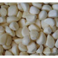 IQF Peeled Frozen Garlic High Quality